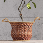 Plant Indoor Fiddle Leaf Fig02