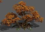 Plant - red tree 03