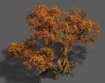 Plant - red tree 03