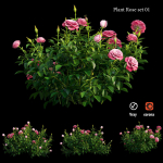Plant rose set 01