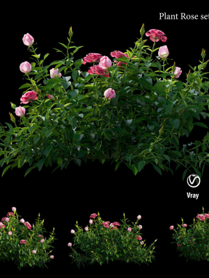 plant-rose-set-01-3d-model-59f8a41d01