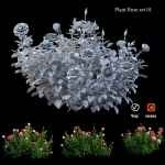 Plant rose set 01