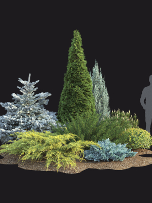 plant-set-01-3d-model-max-obj-fbx-mat