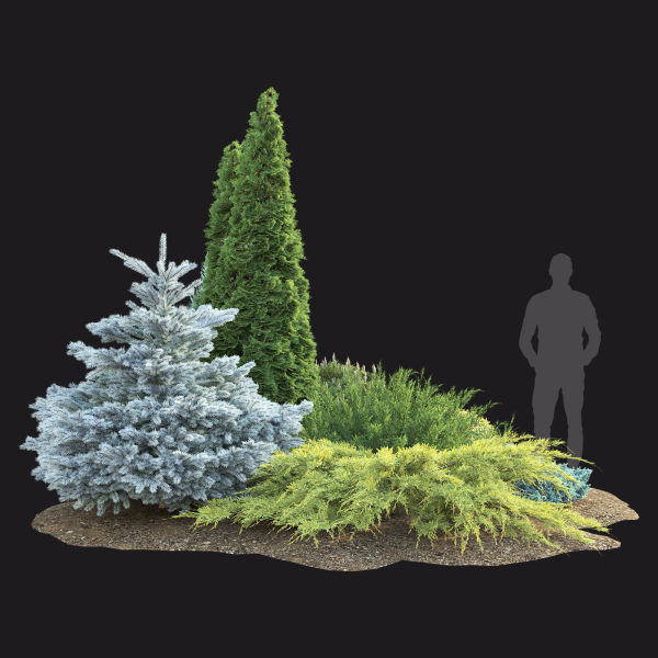 Plant Set 01