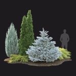 Plant Set 01