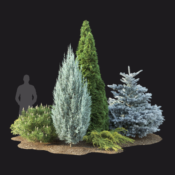 Plant Set 01