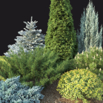 Plant Set 01