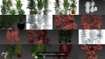 Plant sets collection