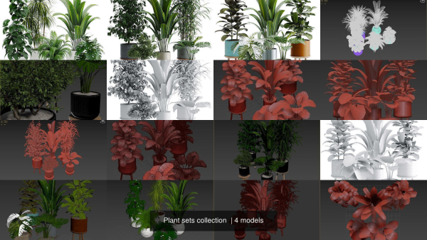 Plant sets collection