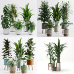 Plant sets collection