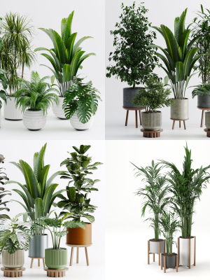 Plant sets collection