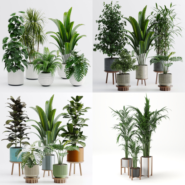 Plant sets collection
