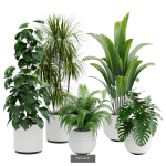 Plant sets collection