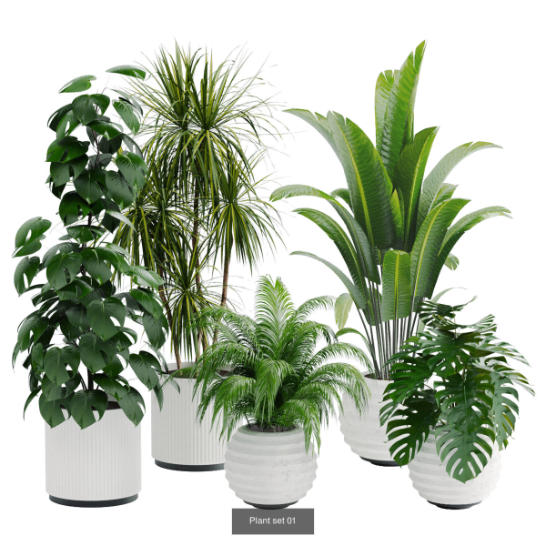 Plant sets collection