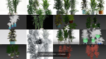 Plant sets collection