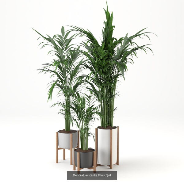 Plant sets collection