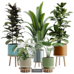 Plant sets collection