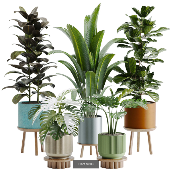Plant sets collection