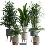 Plant sets collection