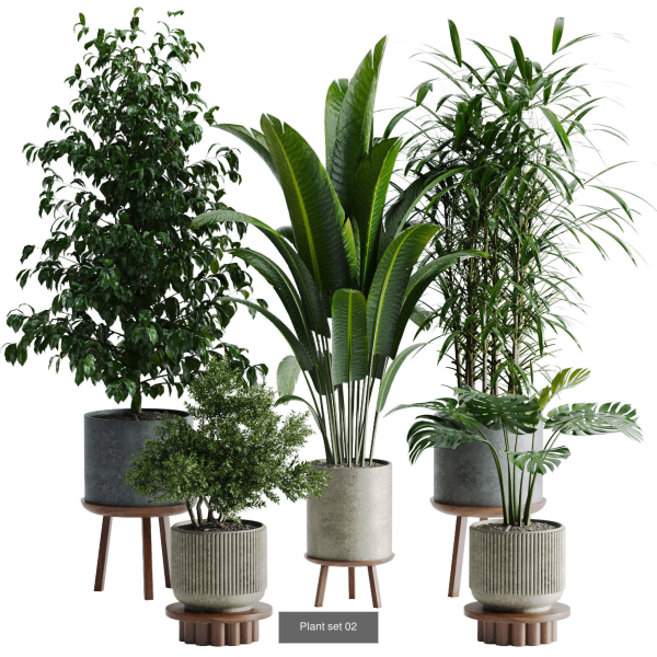 Plant sets collection