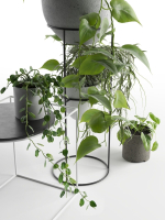 Plant Stand