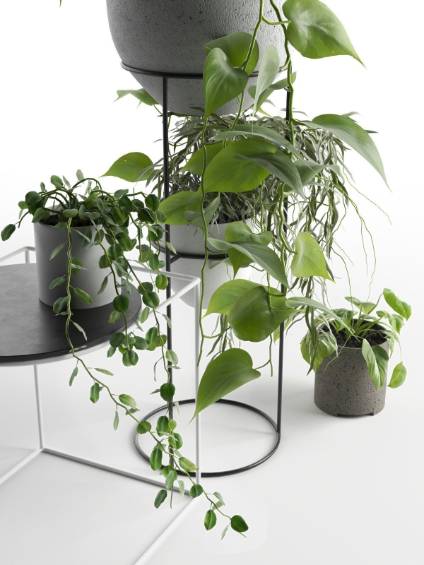 Plant Stand