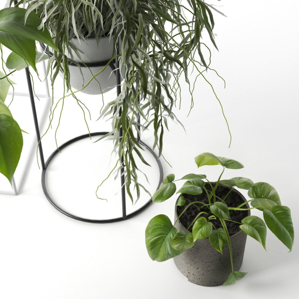 Plant Stand