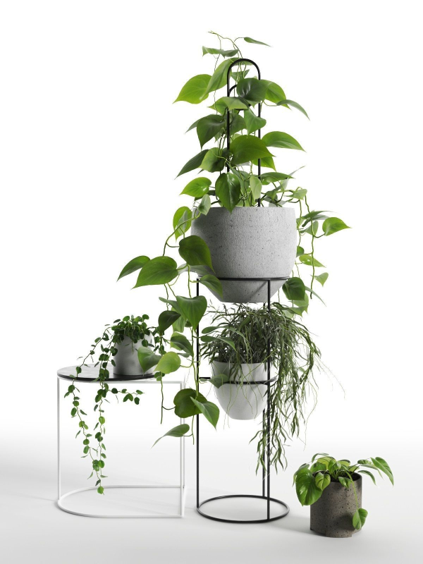 Plant Stand