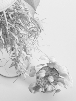 Plant Stand