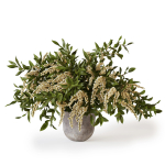 Plant w03