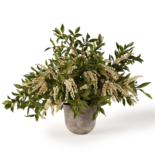 Plant w03
