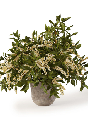 Plant w03