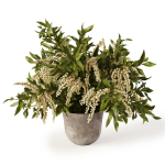 Plant w03