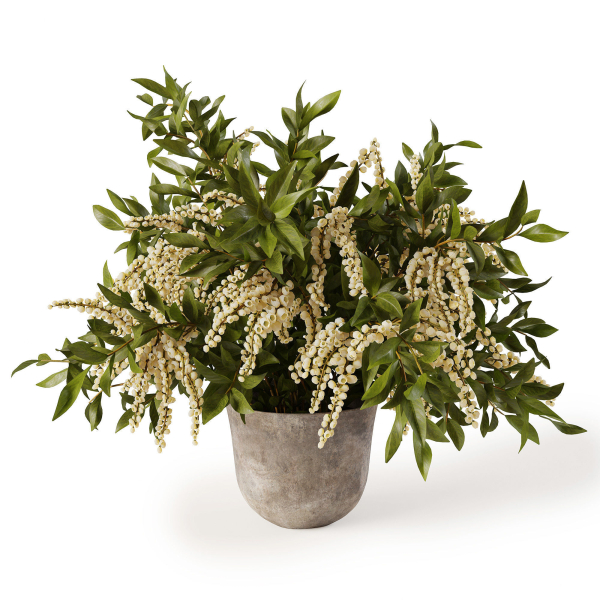 Plant w03