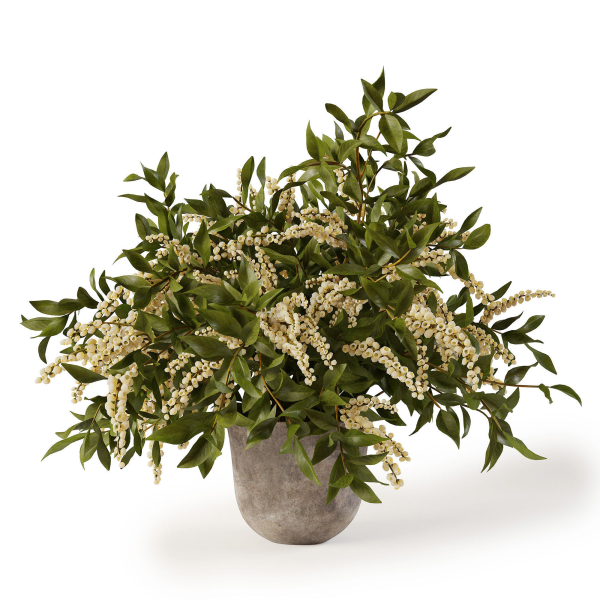 Plant w03