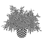 Plant w03