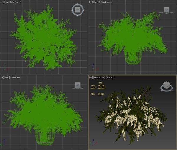 Plant w03