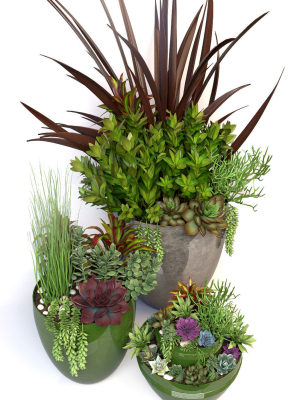 plants-3-3d-model-max-obj-fbx-mtl