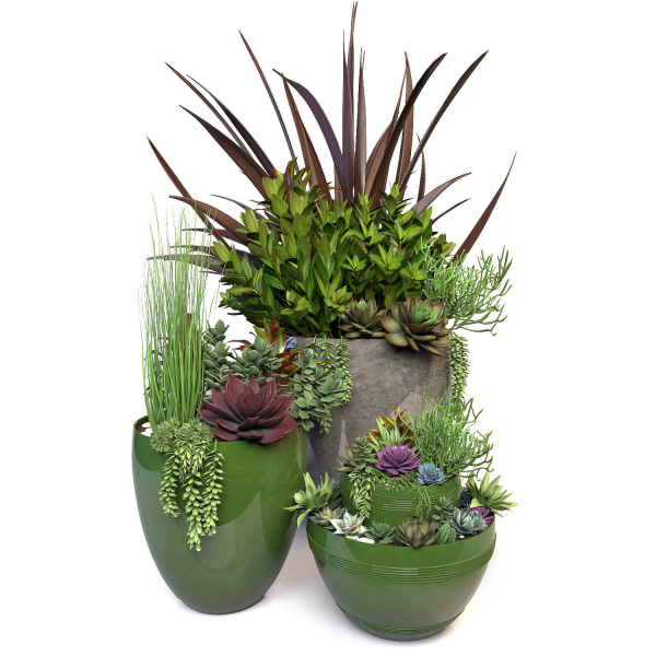 Plants 3 planter with succulents in it