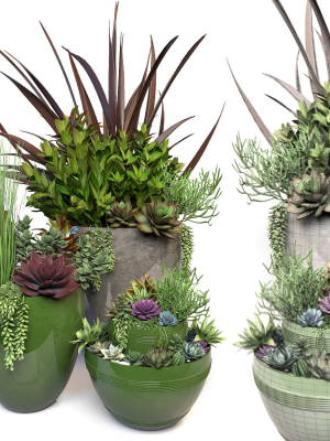 Plants 3 planter with succulents in it
