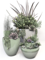 Plants 3 planter with succulents in it