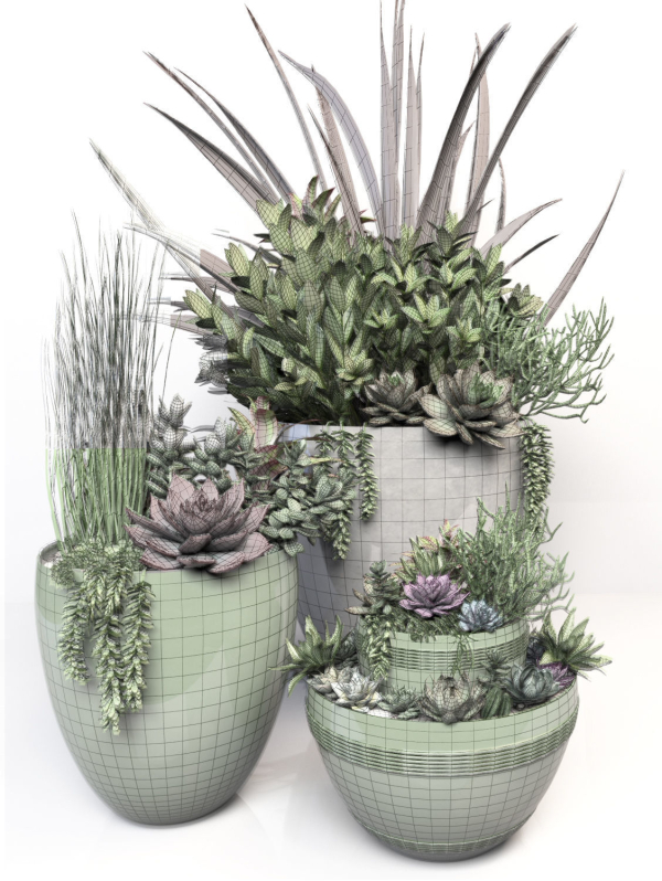 Plants 3 planter with succulents in it