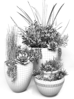 Plants 3 planter with succulents in it