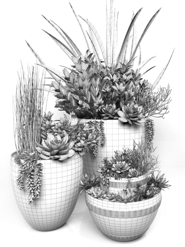 Plants 3 planter with succulents in it