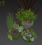 Plants 3 planter with succulents in it