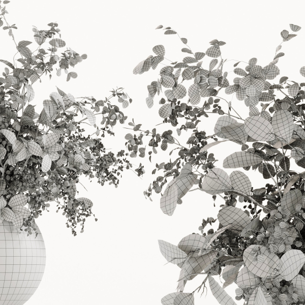 Plants Bouquets
