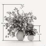 Plants Bouquets