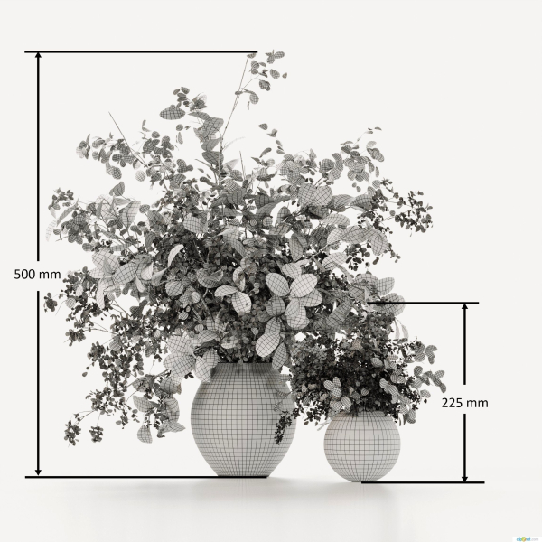 Plants Bouquets