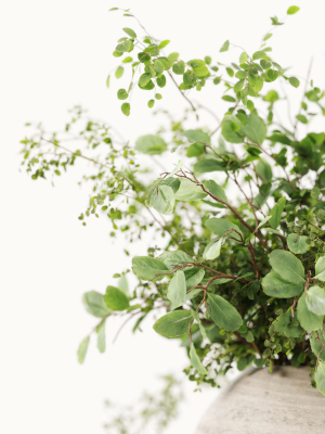 plants-bouquets-3d-model-ccf7dcc5cc