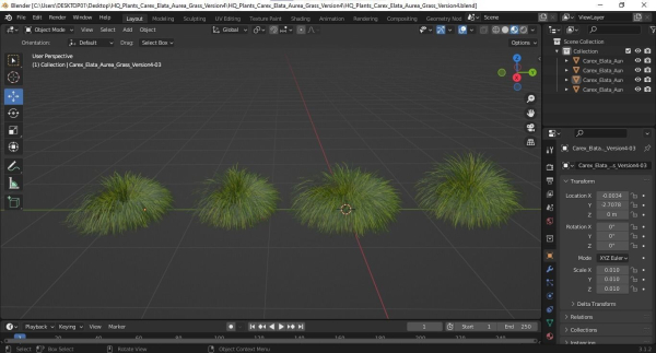 Plants Carex Elata Aurea Grass Version4